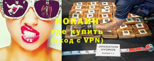 ГАЛЛЮЦИНОГЕННЫЕ ГРИБЫ Бородино