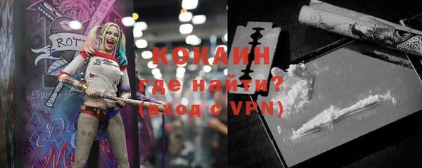 ГАЛЛЮЦИНОГЕННЫЕ ГРИБЫ Бородино