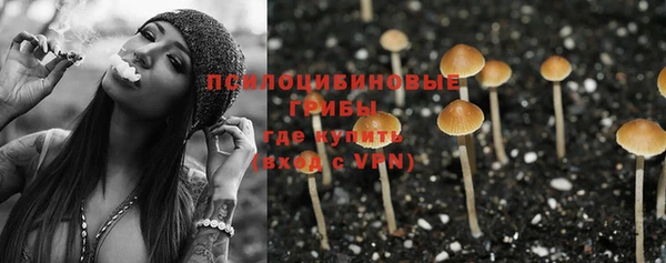 эйфоретик Верея