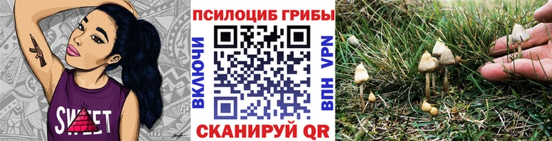 Галлюциногенные грибы ЛСД  Вязники 